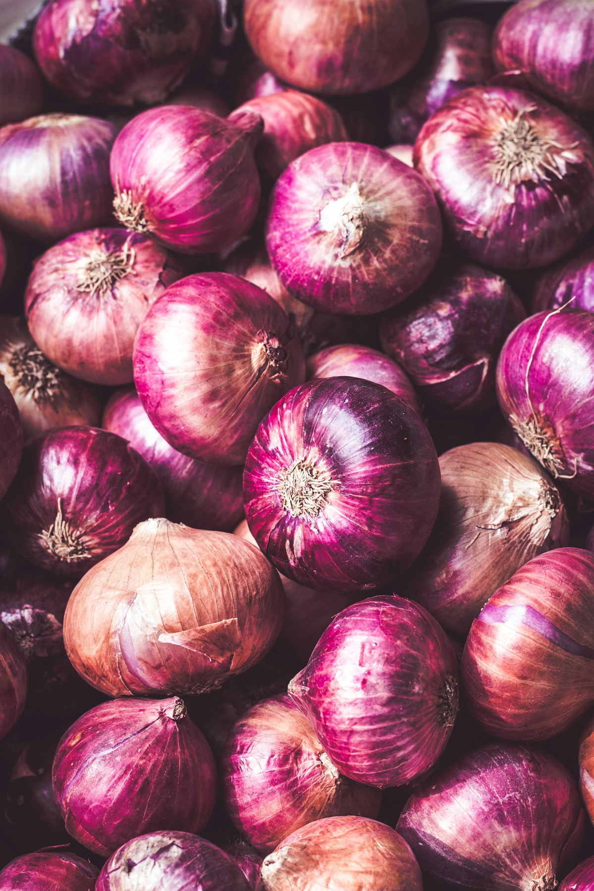 White Onion
