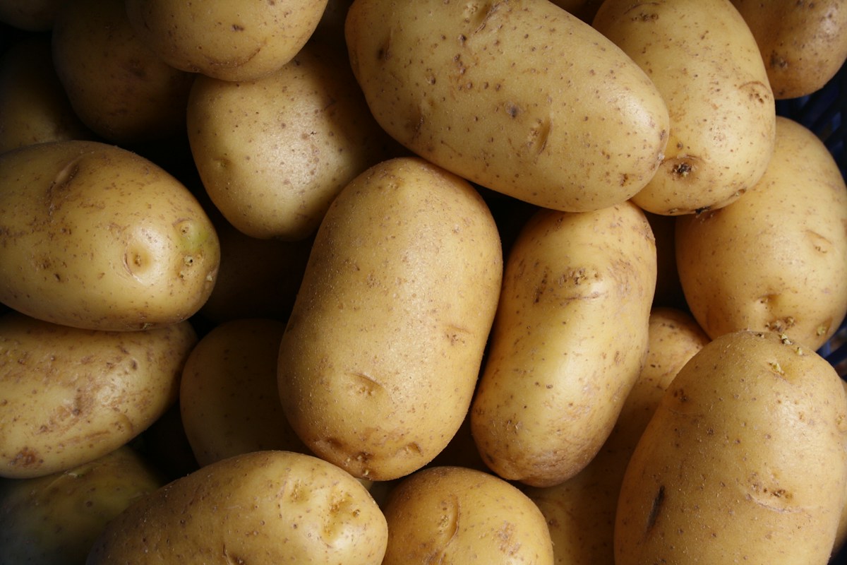 White Potato